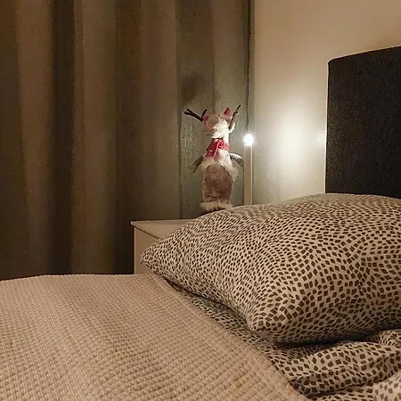 With Sauna In On The Apartamento *