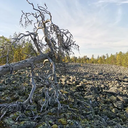 With Sauna In On The Apartamento Ranua