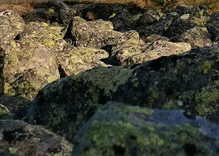 With Sauna In On The 公寓 *