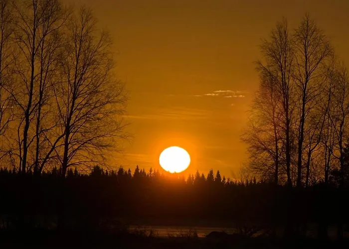 With Sauna In On The 公寓